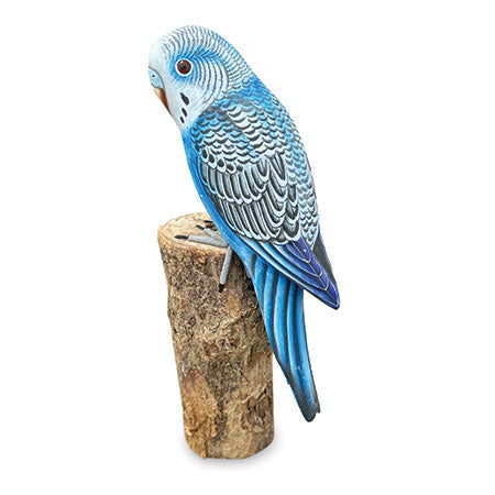 Wild Budgies Budgerigar Pet Bird Blue Budgie 20cm