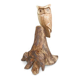 Single Tawny Owl on Driftwood