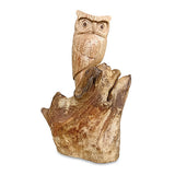 Single Tawny Owl on Driftwood