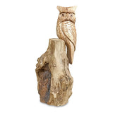 Single Tawny Owl on Driftwood