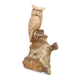 Single Tawny Owl on Driftwood