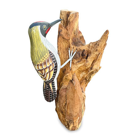 Green Woodpecker on Tree