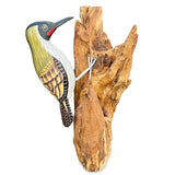 Green Woodpecker on Tree