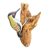 Green Woodpecker on Tree