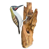 Green Woodpecker on Tree