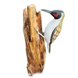 Green Woodpecker on Tree