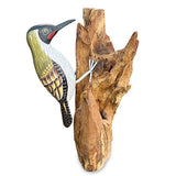 Green Woodpecker on Tree