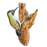 Green Woodpecker on Tree