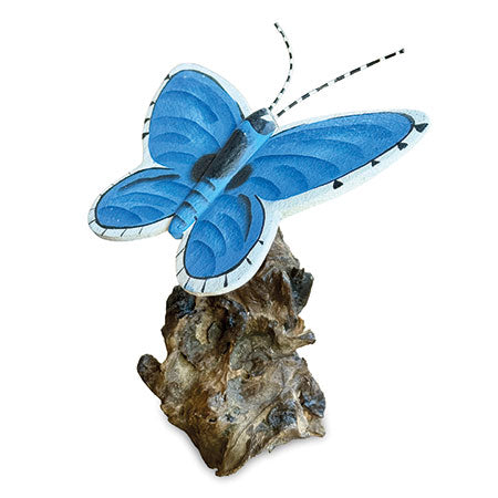 Holly Blue Butterfly on Driftwood