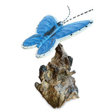 Holly Blue Butterfly on Driftwood