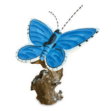 Holly Blue Butterfly on Driftwood