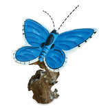 Holly Blue Butterfly on Driftwood