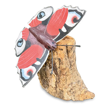 Peacock Butterfly on Driftwood