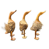 Fuzzy Ducks set of three - new style