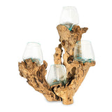 Root with Quadruple Glass Bowls Tall