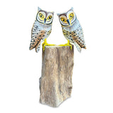 Painted Double Tawny Owls 27cm