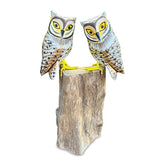 Painted Double Tawny Owls 27cm