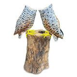 Painted Double Tawny Owls 27cm