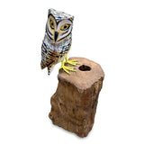 Painted Single Tawny Owl 26cm