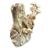 Mouse Hiding in the Mushrooms 27cm