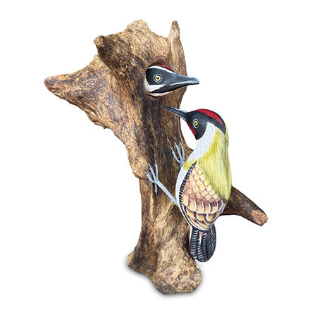 Woodpecker feeding 40cm