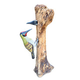 Woodpecker feeding 40cm