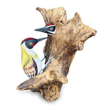 Woodpecker feeding 40cm