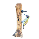 Woodpecker feeding 40cm