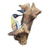 Woodpecker feeding 40cm