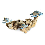 3 Swimming Turtles on Coral