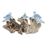 3 Swimming Turtles on Coral