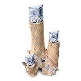 3 Baby Owls in a Tree