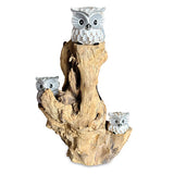3 Baby Owls in a Tree