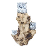 3 Baby Owls in a Tree