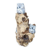 3 Baby Owls in a Tree
