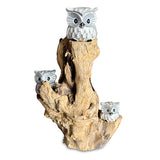 3 Baby Owls in a Tree