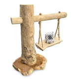 Baby Owl on a Swing 30cm