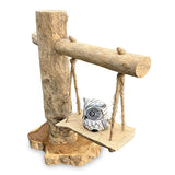 Baby Owl on a Swing 30cm