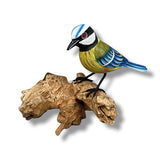 Single Blue Tit Foraging