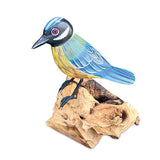 Single Blue Tit Foraging