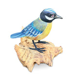 Single Blue Tit Foraging