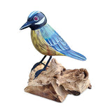 Single Blue Tit Foraging