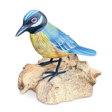 Single Blue Tit Foraging