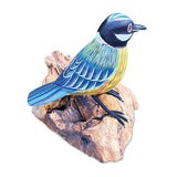 Single Blue Tit Foraging