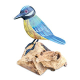 Single Blue Tit Foraging