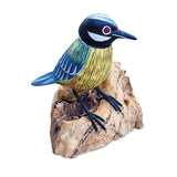 Single Blue Tit Foraging