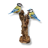 Double Blue Tit Foraging