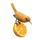 Wren Munching an Orange