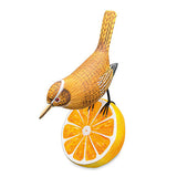 Wren Munching an Orange