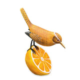 Wren Munching an Orange